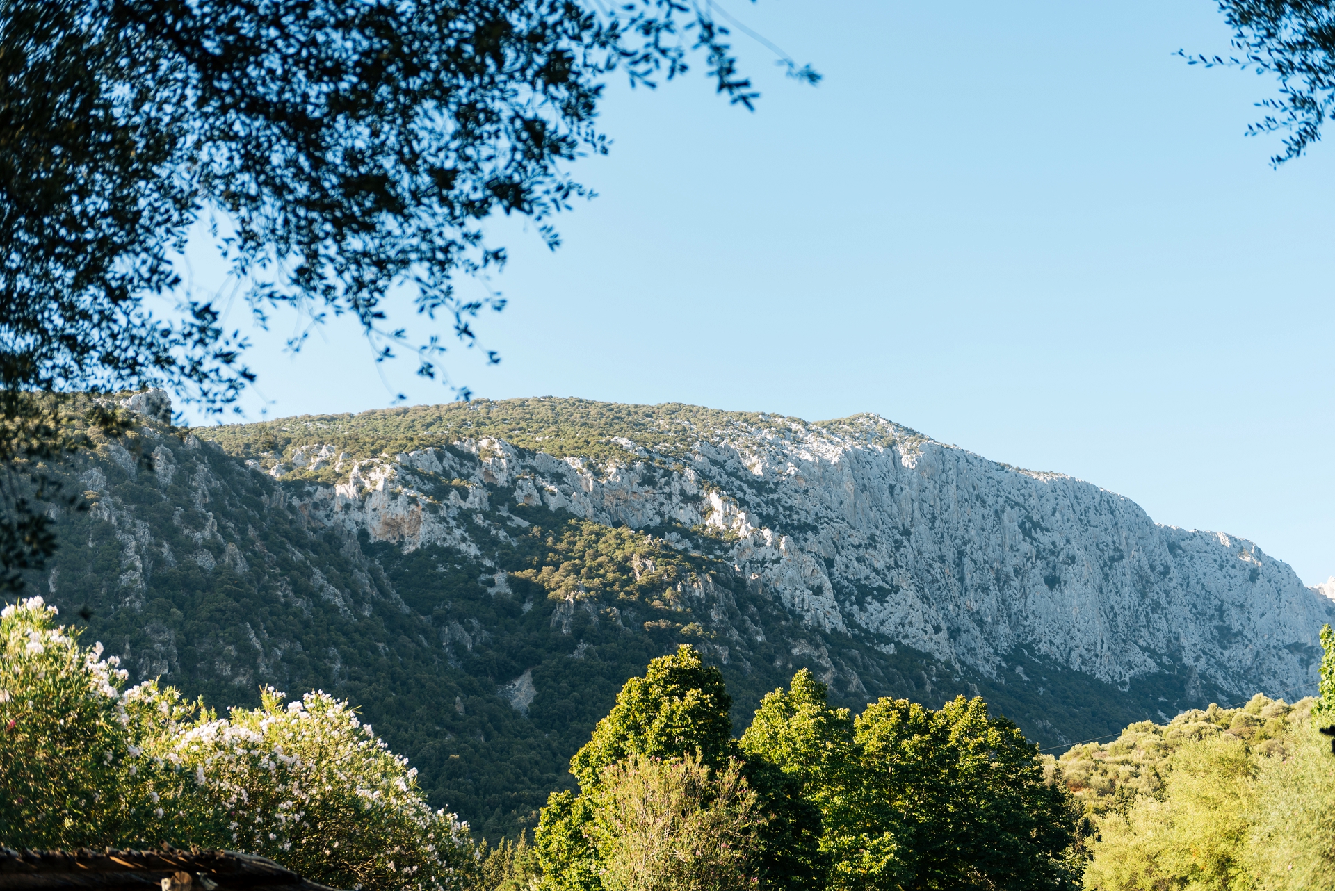 sardinia-wedding-photographers-su-gologone-oliena-001